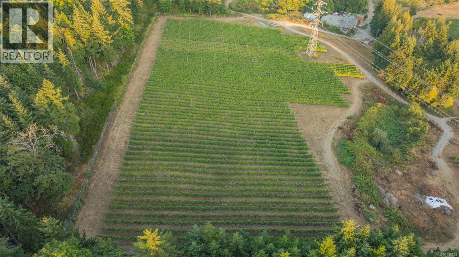 6552 North Rd, Duncan, British Columbia  V9L 6K9 - Photo 15 - 1014635