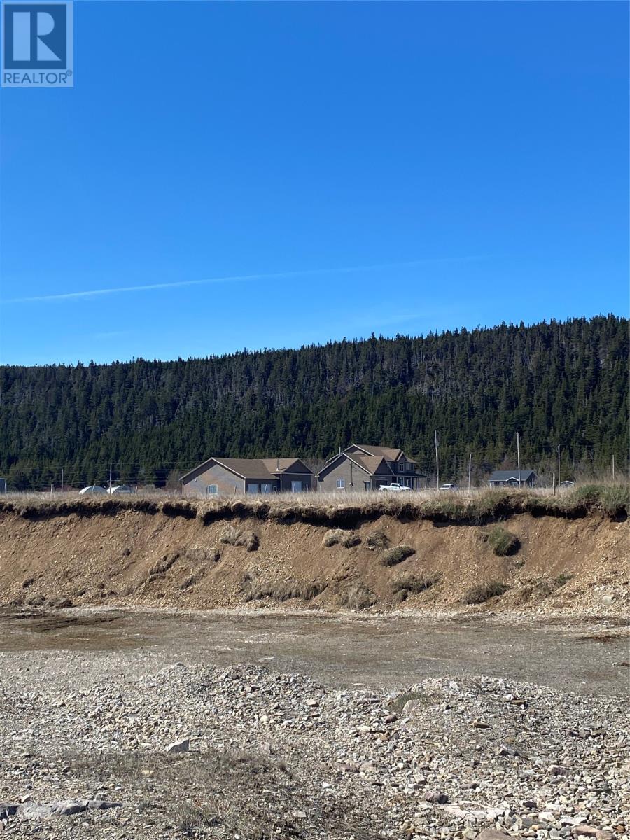 2 Mountainview Lane, Cape St George, Newfoundland & Labrador  A0N 1E0 - Photo 36 - 1290707