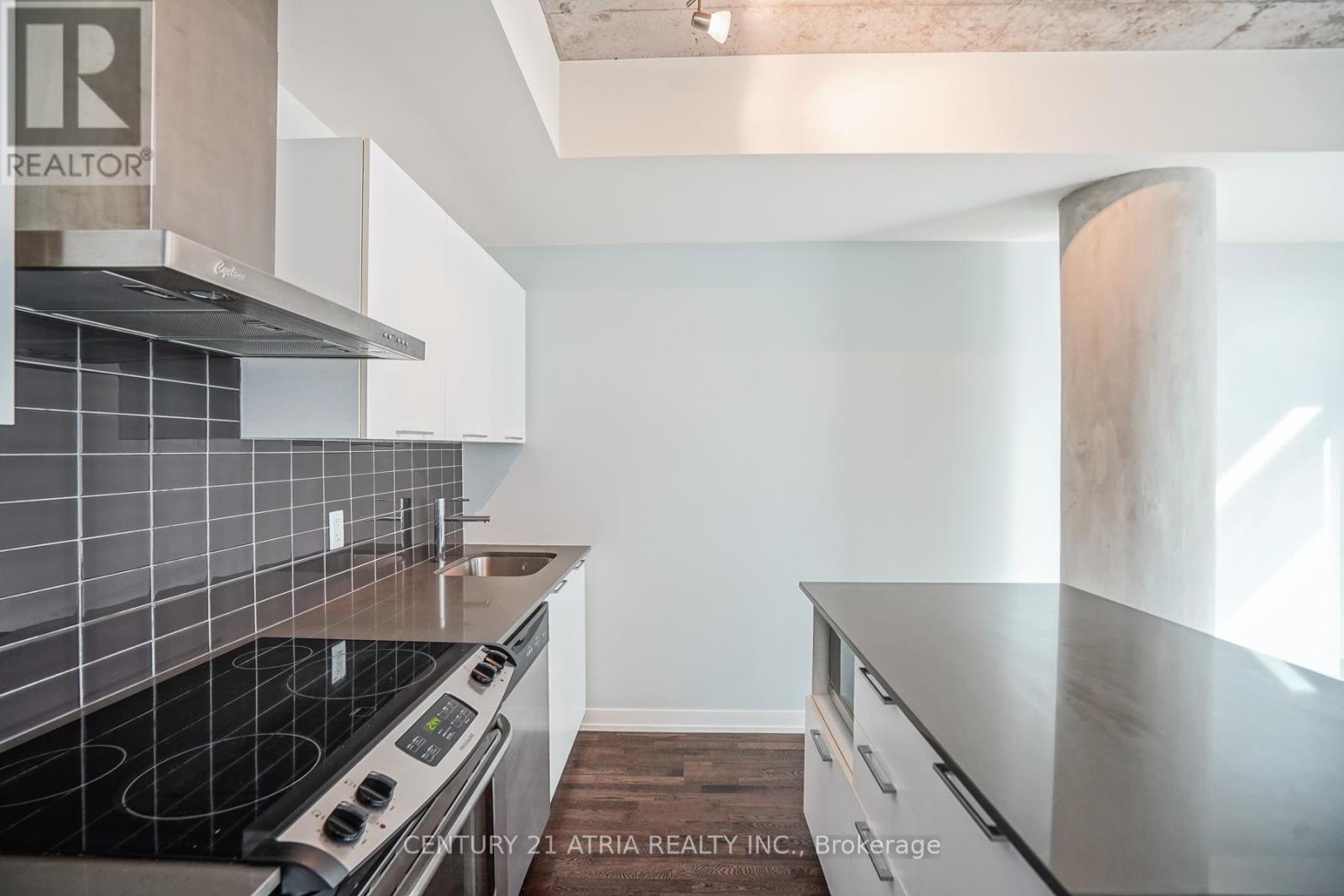 311 - 650 King Street W, Toronto, Ontario  M5V 0H6 - Photo 17 - C12418718