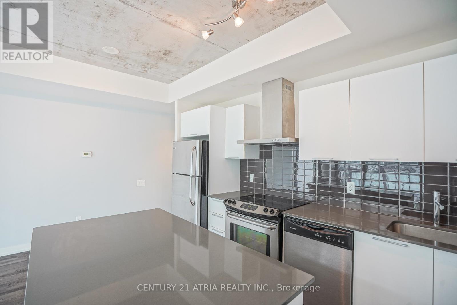311 - 650 King Street W, Toronto, Ontario  M5V 0H6 - Photo 18 - C12418718