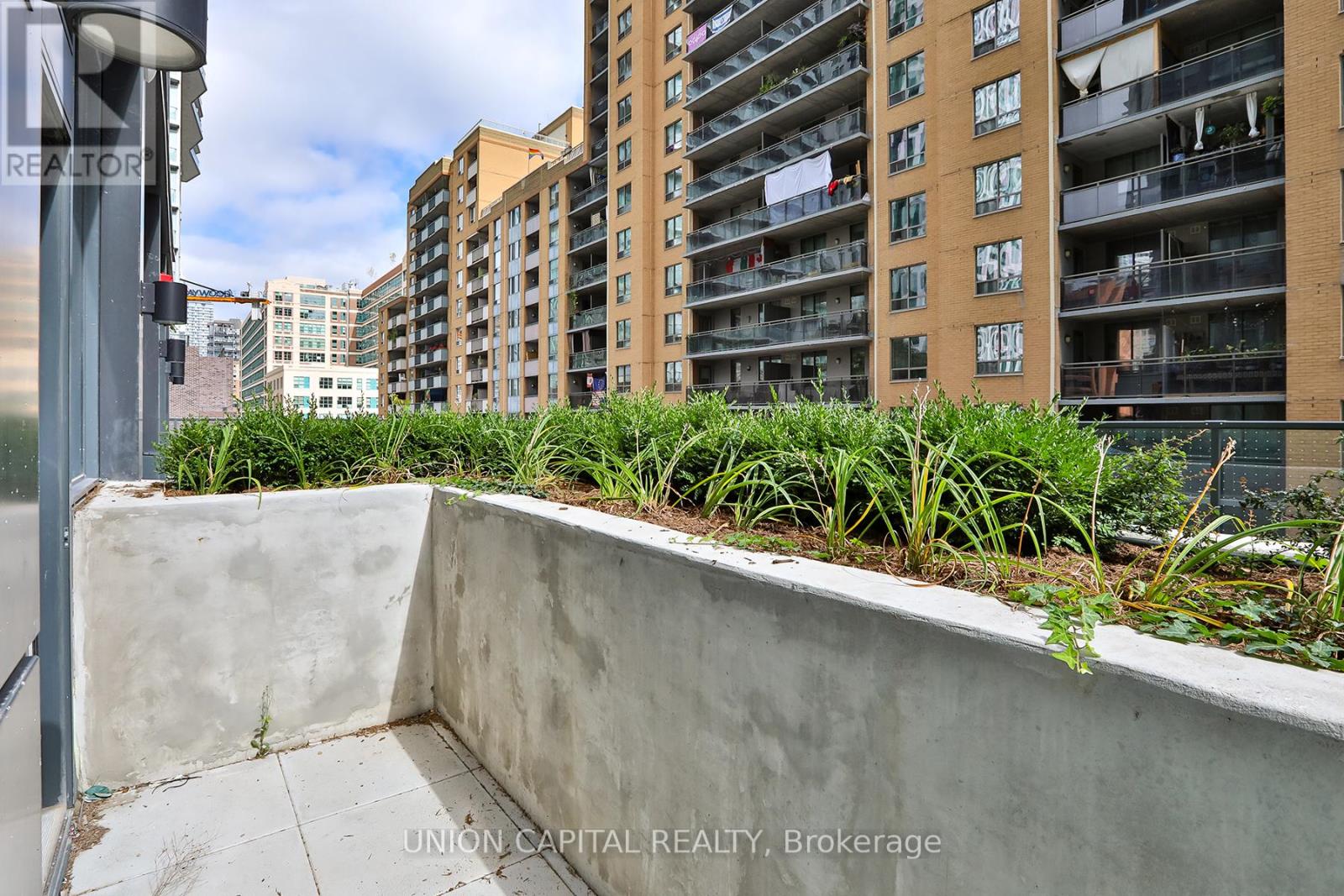 501 - 82 Dalhousie Street, Toronto, Ontario  M5B 0C5 - Photo 19 - C12418764