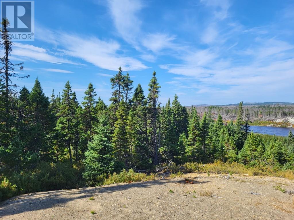 113261 Miguel Lake Road, Bishops Falls, Newfoundland & Labrador  A0H 1C0 - Photo 22 - 1290737