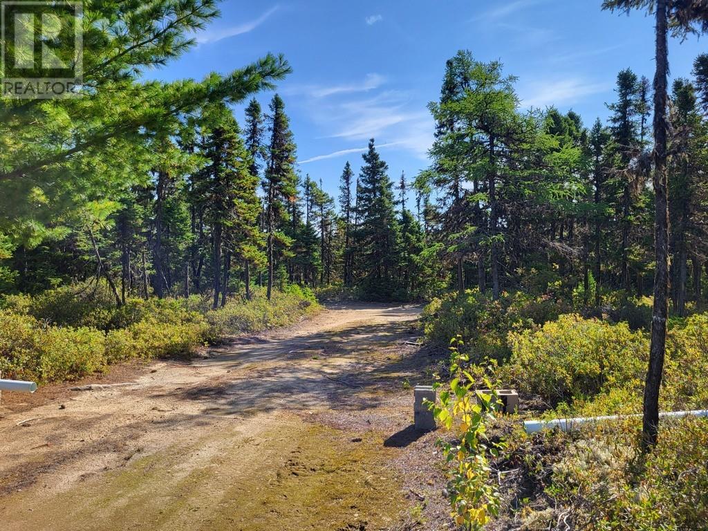 113261 Miguel Lake Road, Bishops Falls, Newfoundland & Labrador  A0H 1C0 - Photo 23 - 1290737