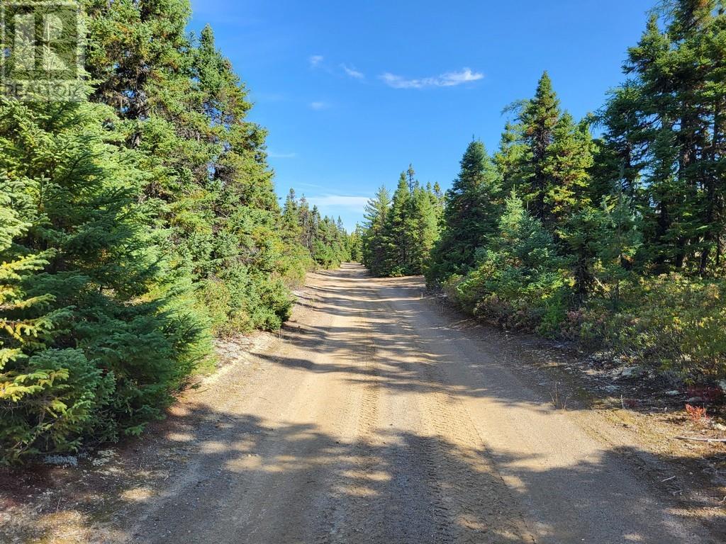 113261 Miguel Lake Road, Bishops Falls, Newfoundland & Labrador  A0H 1C0 - Photo 26 - 1290737