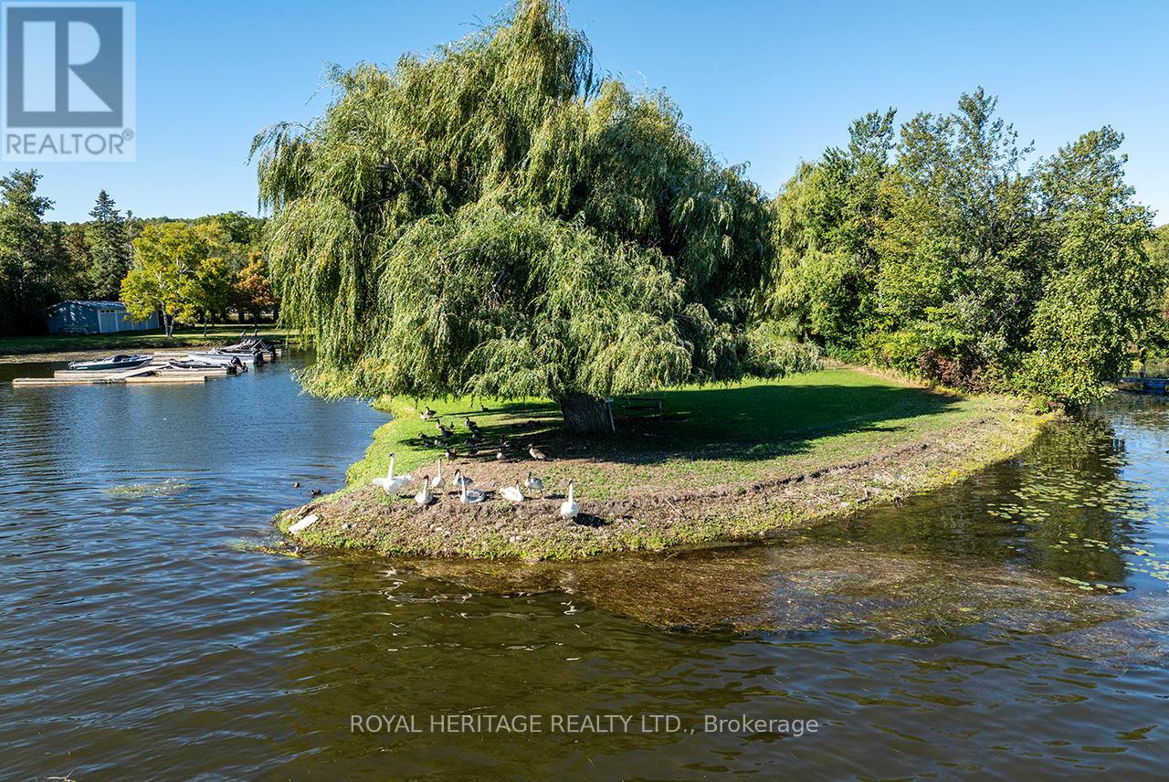 5183 Rice Lake Drive N, Hamilton Township, Ontario  K0K 1E0 - Photo 14 - X12418830