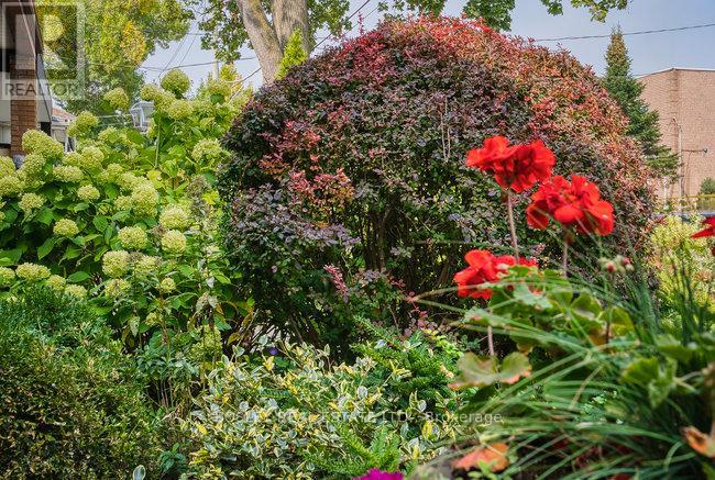 140 Dovercourt Road, Toronto (Little Portugal), Ontario  M6J 3C4 - Photo 3 - C12417532