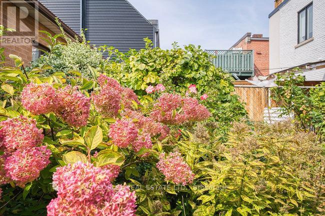 140 Dovercourt Road, Toronto (Little Portugal), Ontario  M6J 3C4 - Photo 50 - C12417532