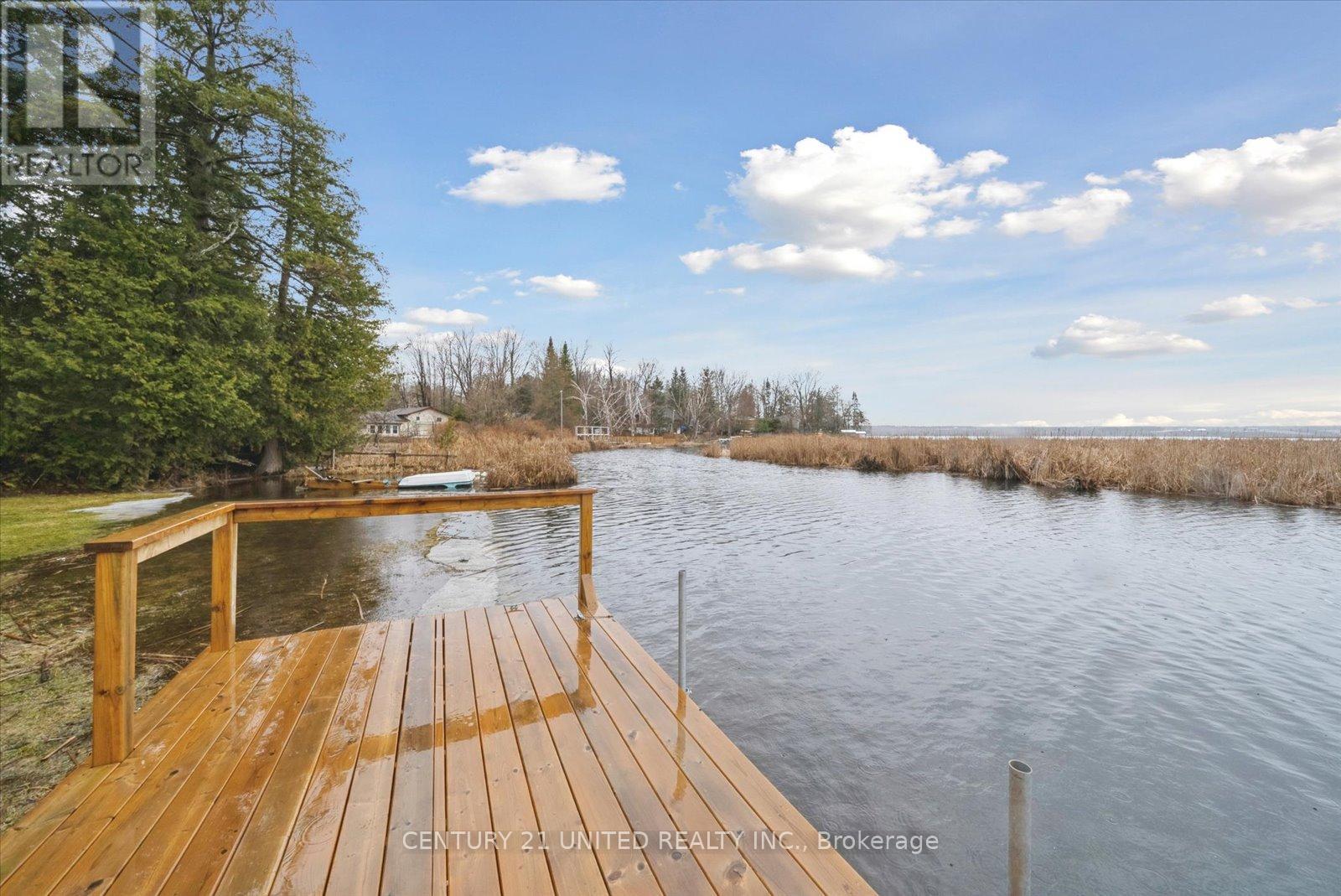 52 Birch Point Drive, Kawartha Lakes, Ontario  K0L 1T0 - Photo 39 - X12419008