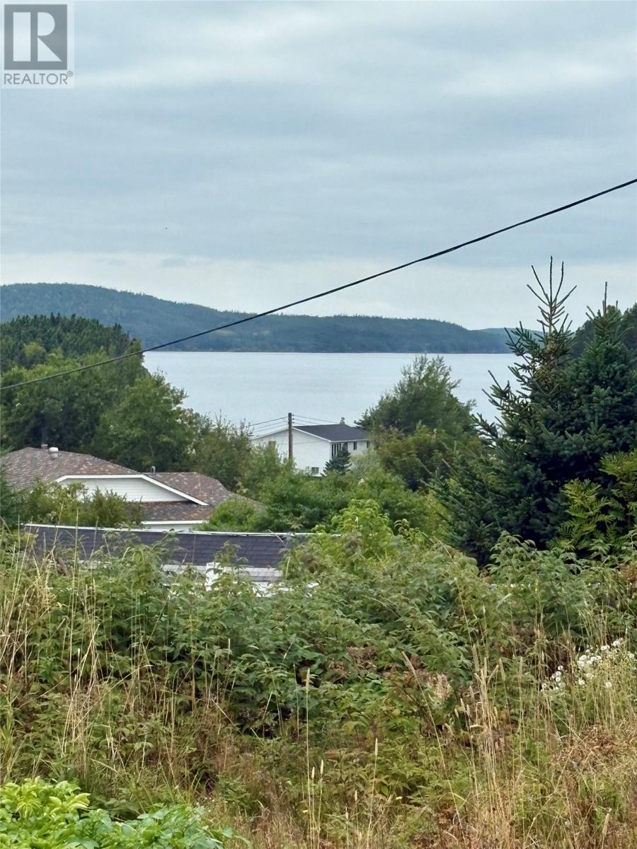 139 Main Street, Summerford, Newfoundland & Labrador   - Photo 11 - 1290275