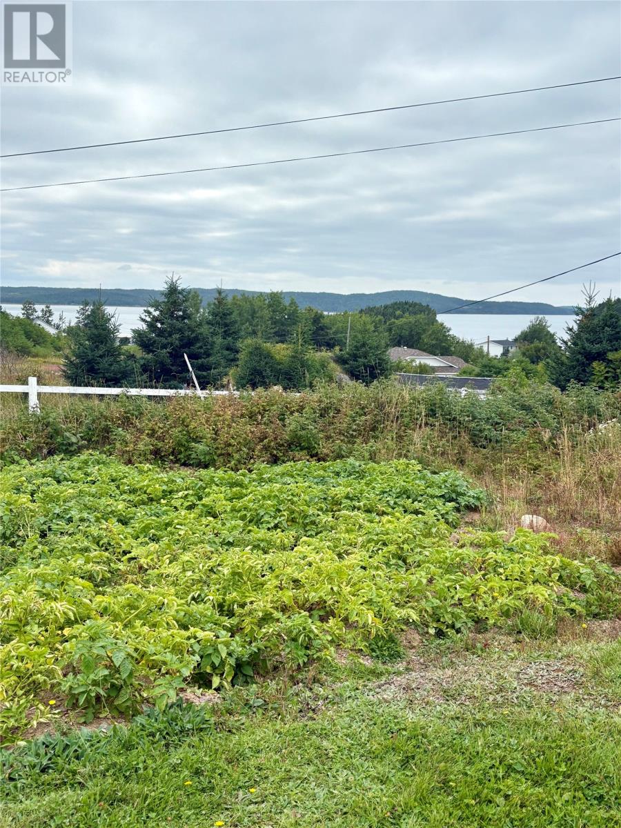 139 Main Street, Summerford, Newfoundland & Labrador   - Photo 12 - 1290275