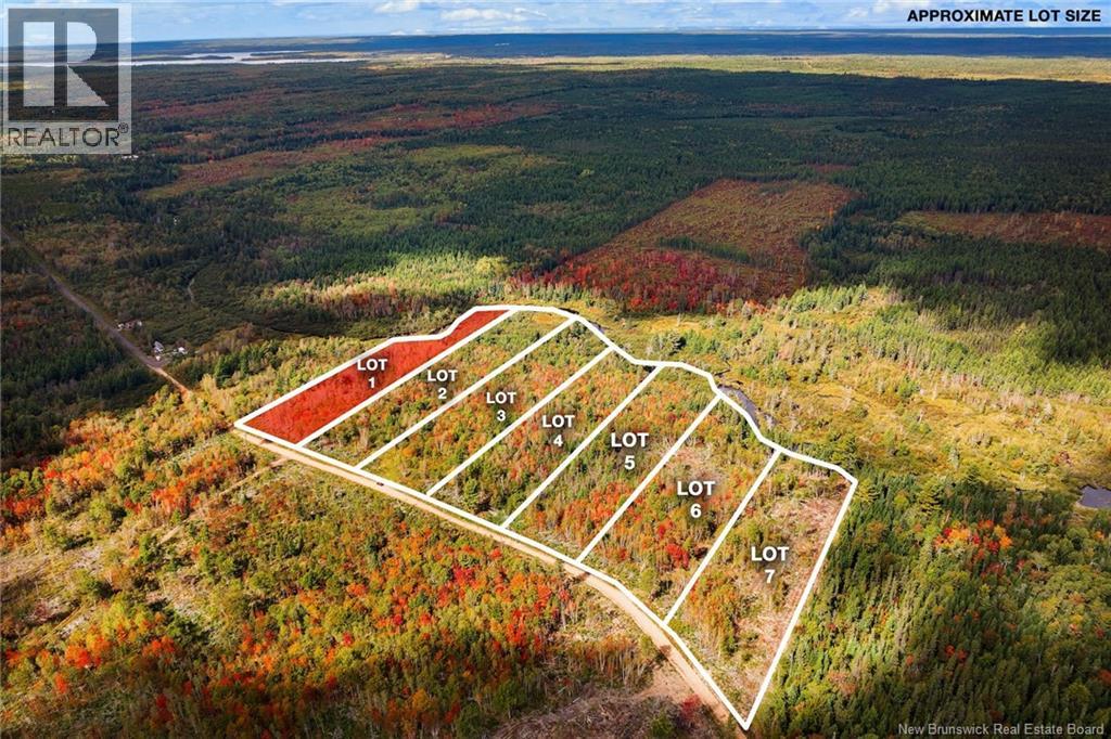 Lot 24-1 Cumberland Bay South Road, Cumberland Bay, New Brunswick  O0O 0O0 - Photo 3 - NB112403