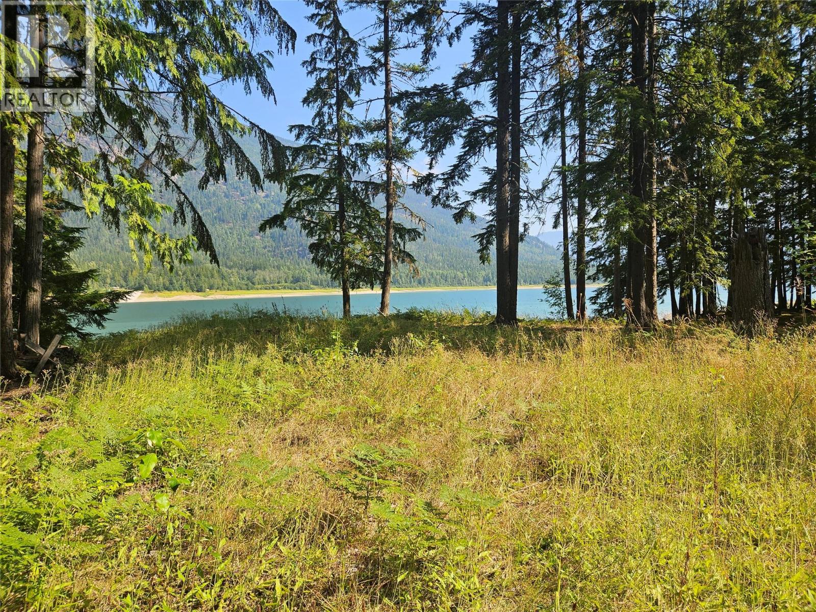 3848 Rock Island Road, Nakusp, British Columbia  V0G 1R1 - Photo 31 - 10340019