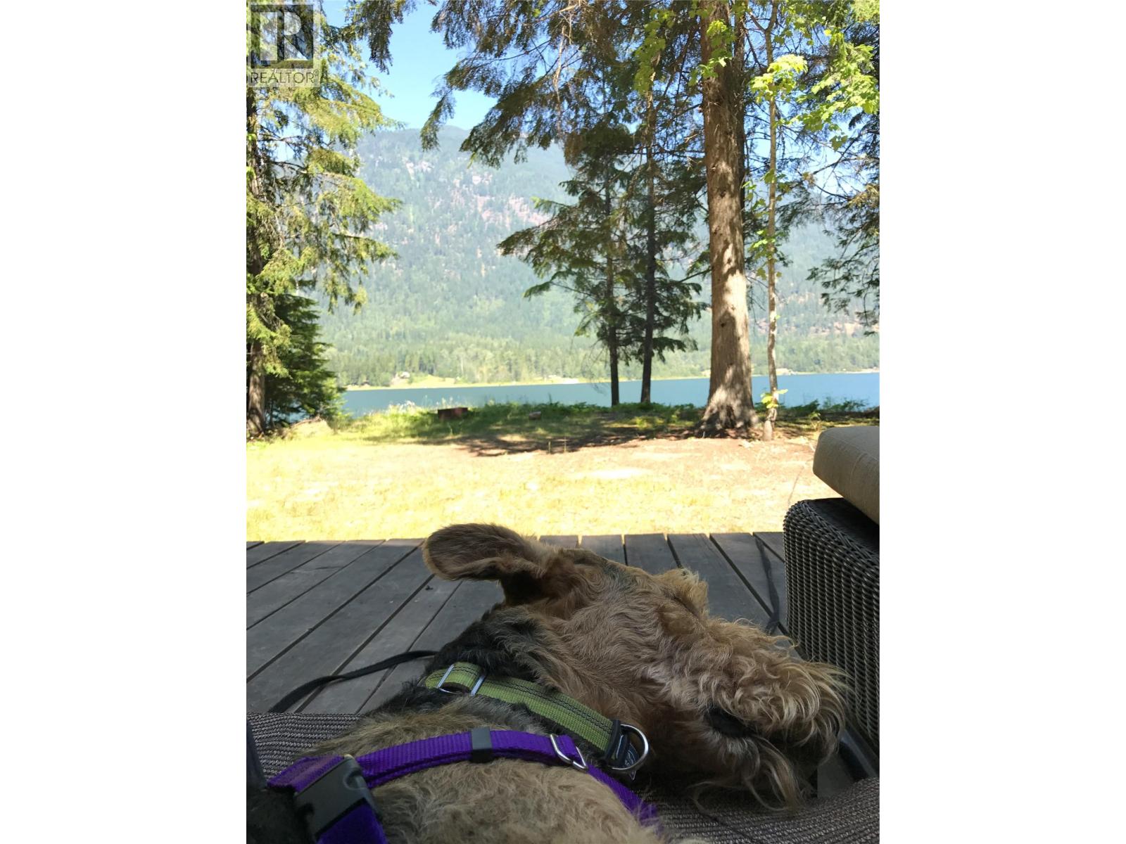 3848 Rock Island Road, Nakusp, British Columbia  V0G 1R1 - Photo 25 - 10340019