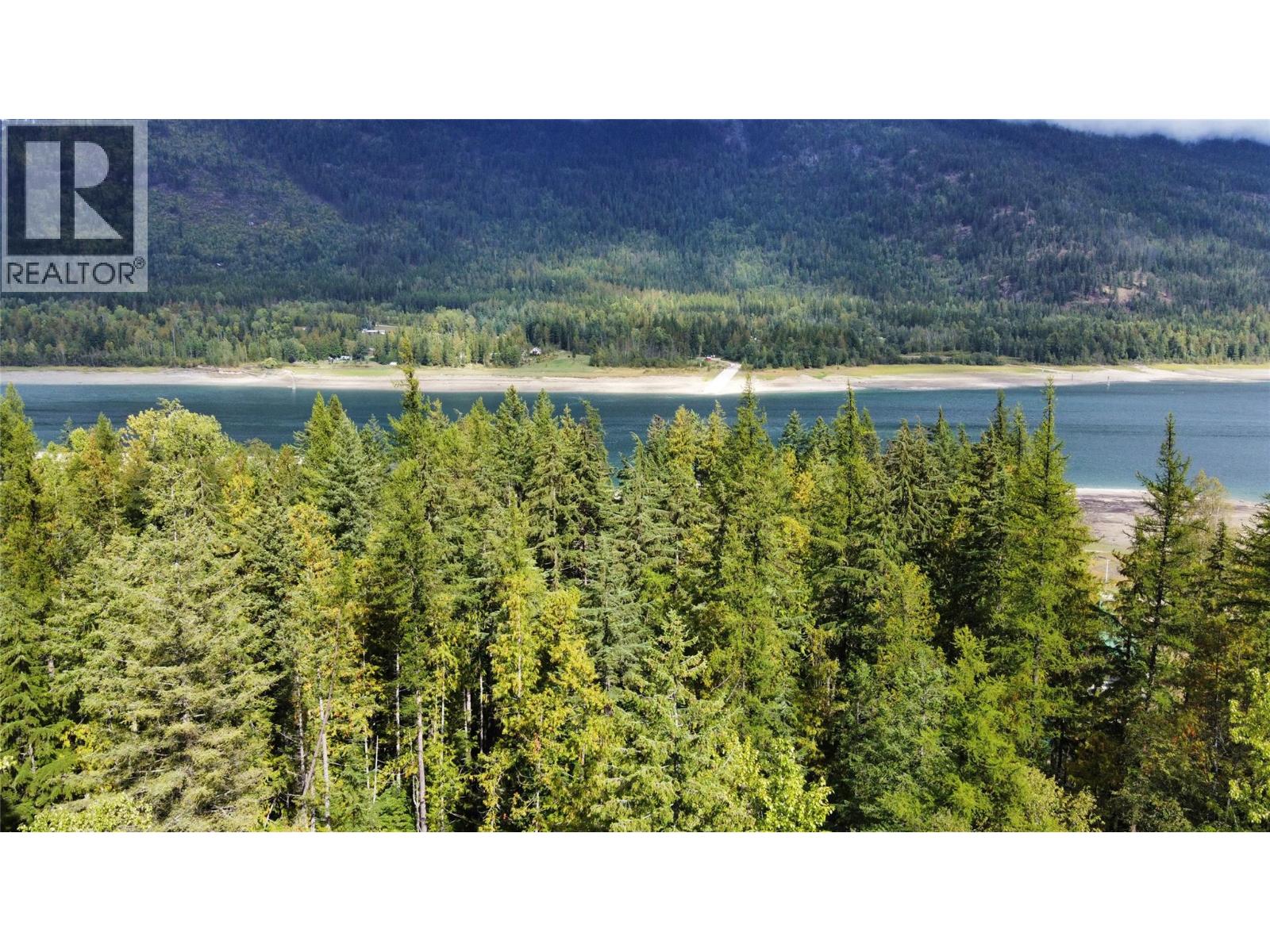 3848 Rock Island Road, Nakusp, British Columbia  V0G 1R1 - Photo 34 - 10340019