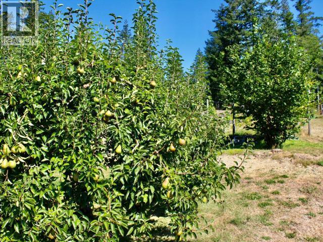 5062 Spragge Road, Texada Island, British Columbia  V0N 3K0 - Photo 70 - 19359