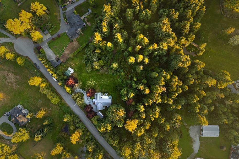 Property at 34520 TIMBERCOVE ROAD image 2