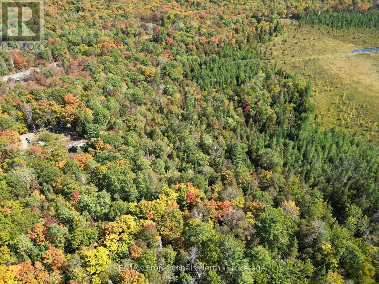 Pt Lt 35 Con 7 Glamor Lake Road, Highlands East (Monmouth), Ontario  K0M 1R0 - Photo 15 - X12419264