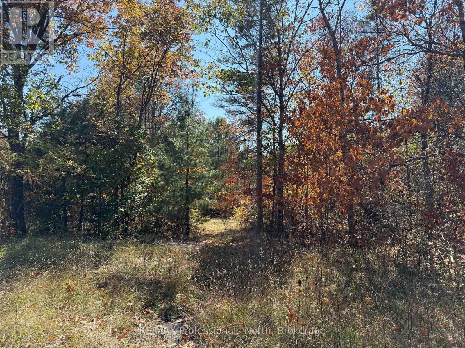Pt Lt 35 Con 7 Glamor Lake Road, Highlands East (Monmouth), Ontario  K0M 1R0 - Photo 16 - X12419264