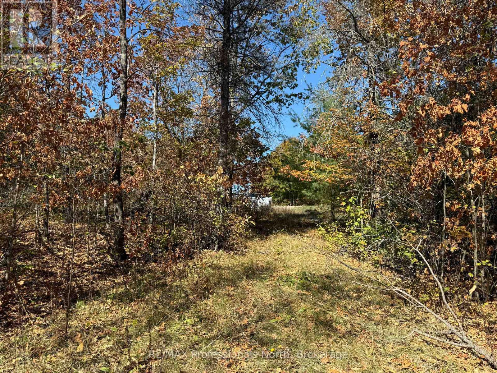Pt Lt 35 Con 7 Glamor Lake Road, Highlands East (Monmouth), Ontario  K0M 1R0 - Photo 2 - X12419264