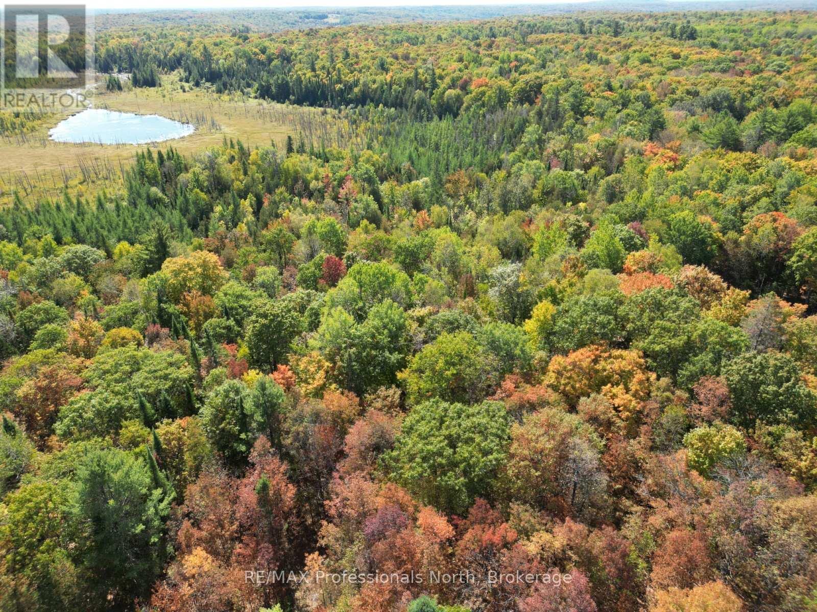 Pt Lt 35 Con 7 Glamor Lake Road, Highlands East (Monmouth), Ontario  K0M 1R0 - Photo 5 - X12419264