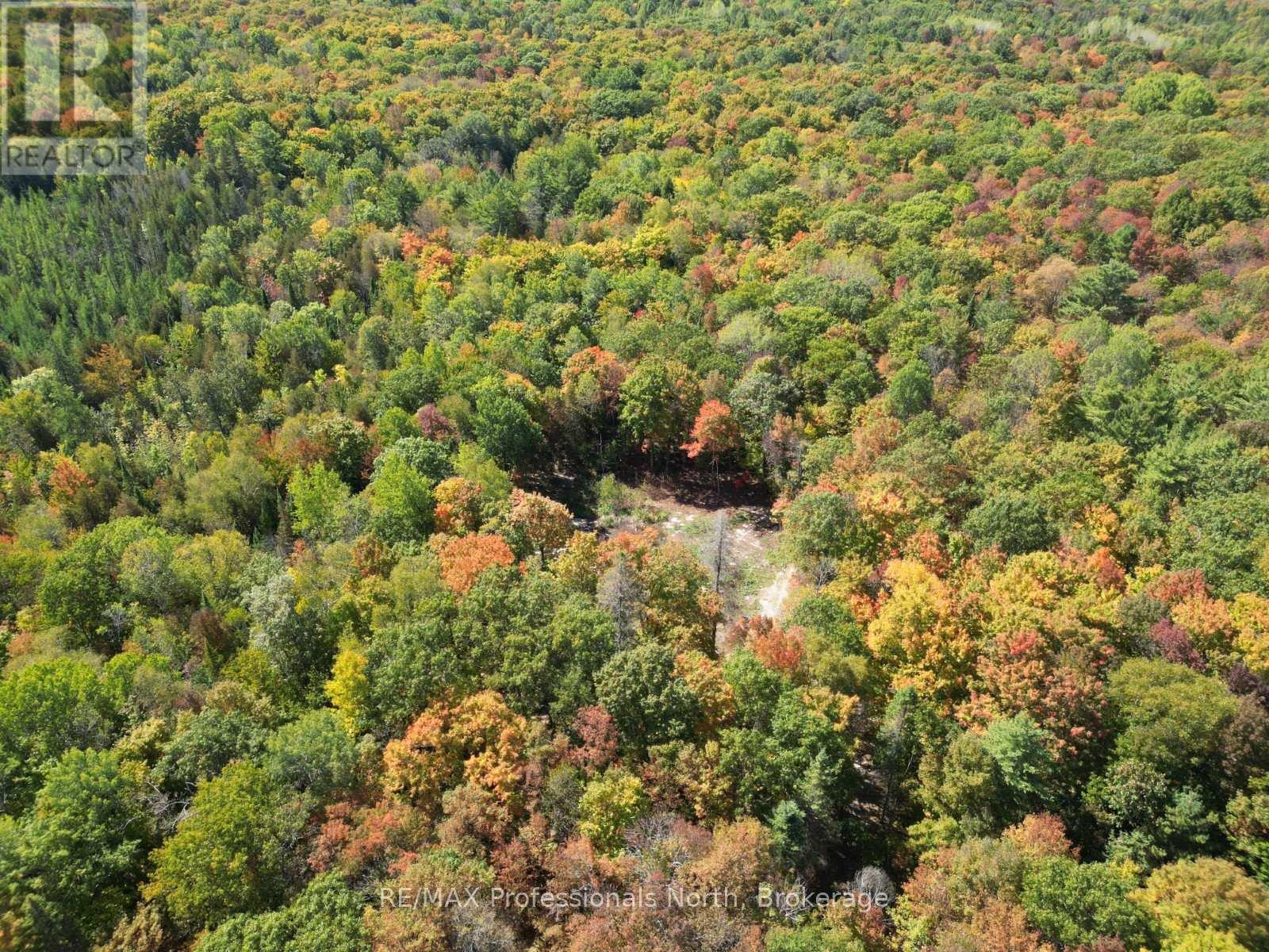 Pt Lt 35 Con 7 Glamor Lake Road, Highlands East (Monmouth), Ontario  K0M 1R0 - Photo 7 - X12419264