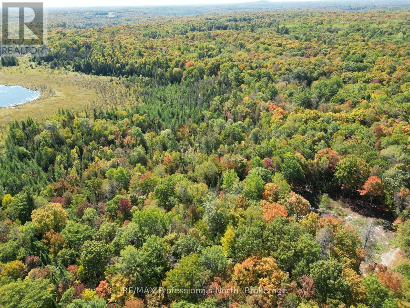Pt Lt 35 Con 7 Glamor Lake Road, Highlands East (Monmouth), Ontario  K0M 1R0 - Photo 8 - X12419264