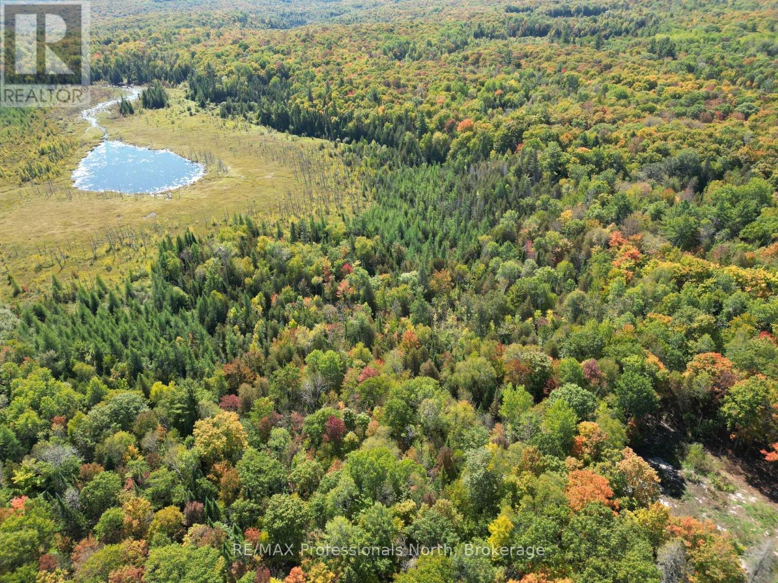 Pt Lt 35 Con 7 Glamor Lake Road, Highlands East (Monmouth), Ontario  K0M 1R0 - Photo 9 - X12419264
