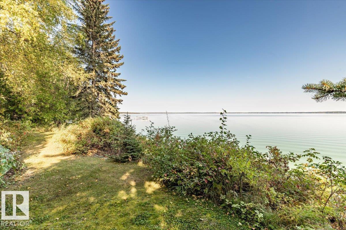 263 Lakeshore Dr, Rural Wetaskiwin County, Alberta  T0C 2V0 - Photo 42 - E4458927