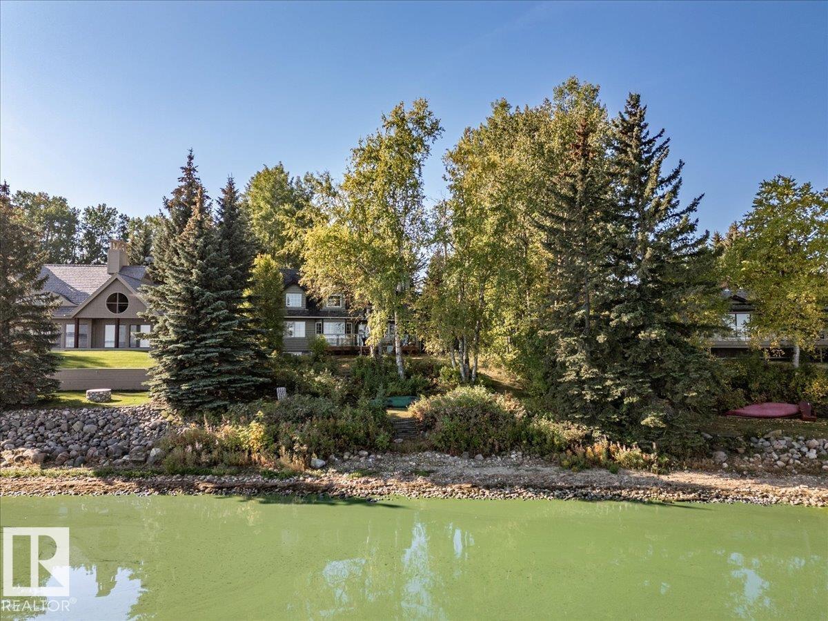 263 Lakeshore Dr, Rural Wetaskiwin County, Alberta  T0C 2V0 - Photo 58 - E4458927