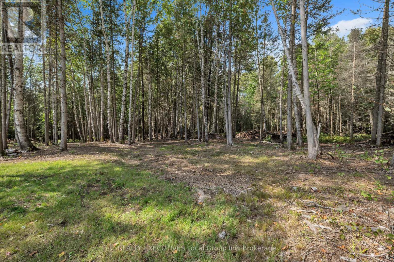 2149 South Shore Road, Bonfield, Ontario  P0H 1E0 - Photo 39 - X12419368