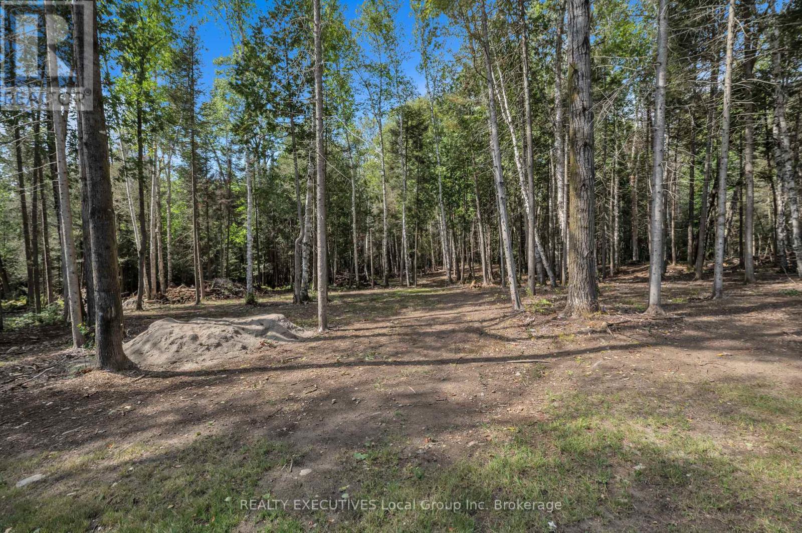 2149 South Shore Road, Bonfield, Ontario  P0H 1E0 - Photo 40 - X12419368