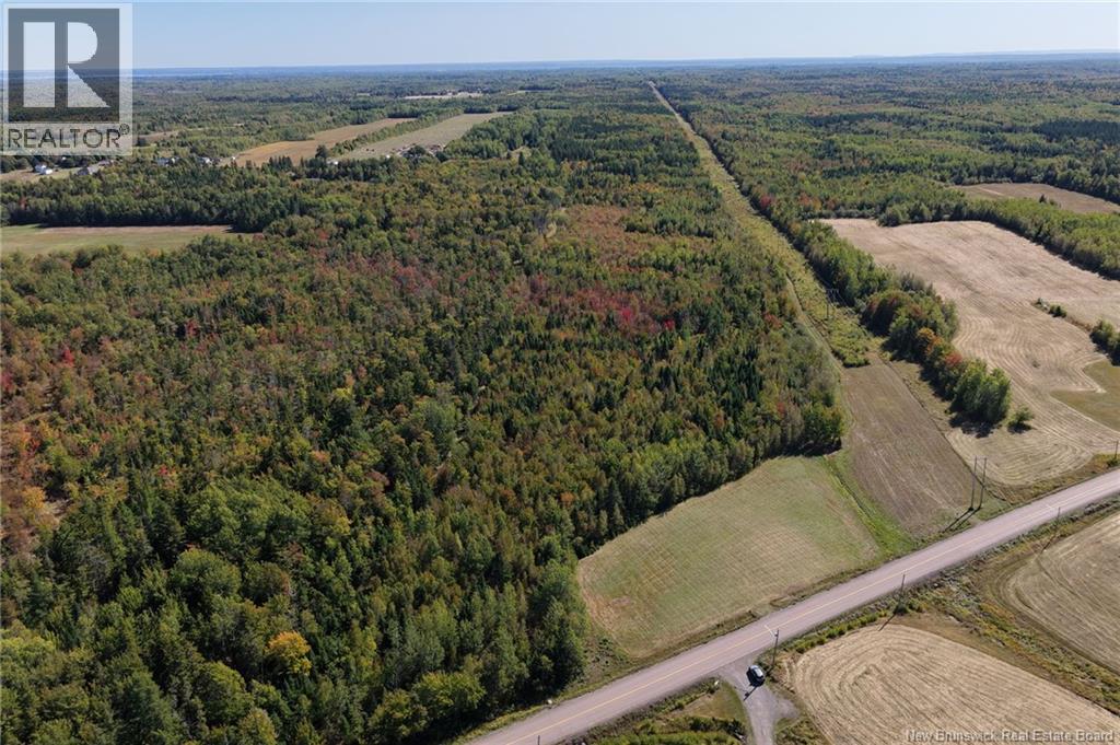 Tbd Route 115, Mckees Mills, New Brunswick  E4V 2V8 - Photo 3 - NB126940
