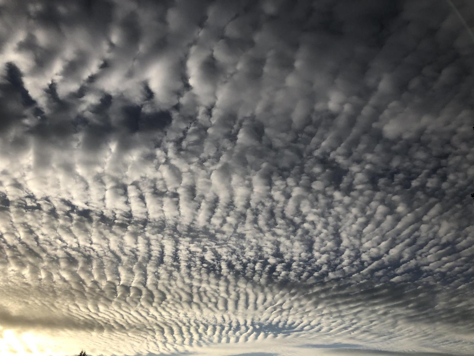 10388 Hayward Street, Mission, British Columbia  V4S 1J2 - Photo 9 - R3050141