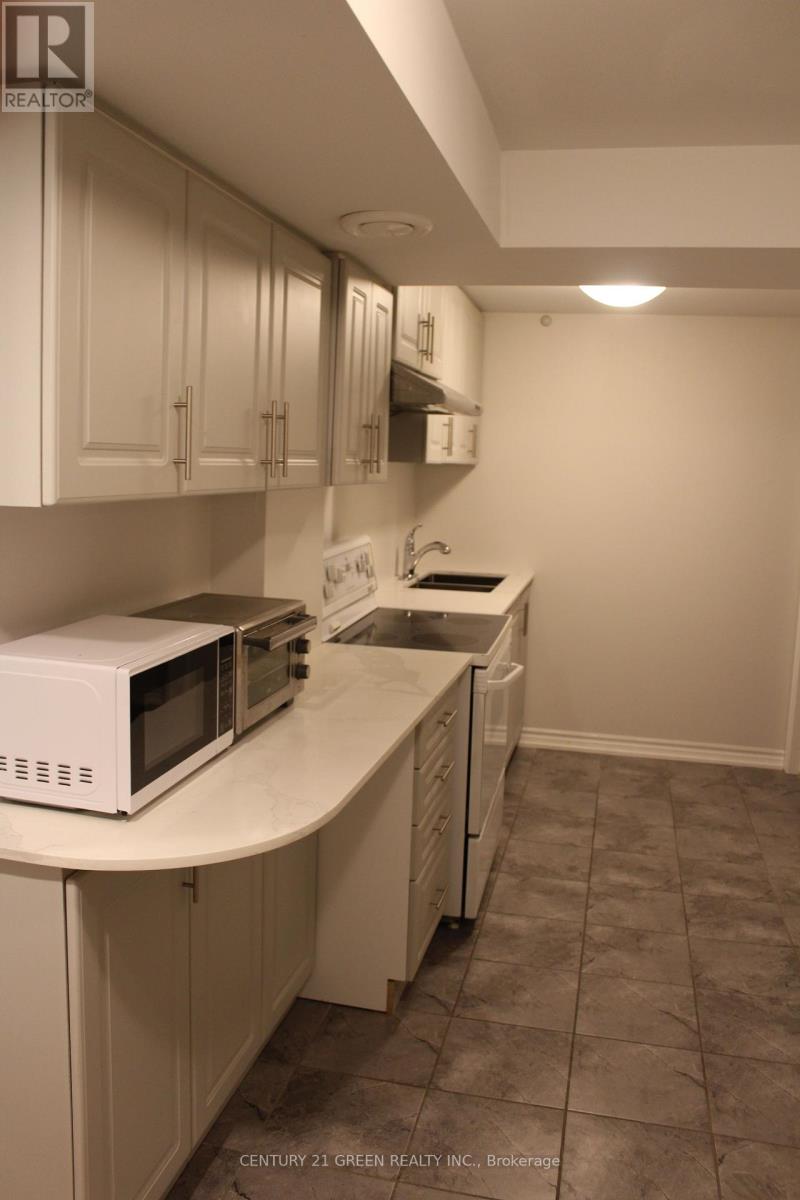 Basement - 44 Prairie Creek Crescent, Brampton, Ontario  L6Y 6C9 - Photo 5 - W12419367