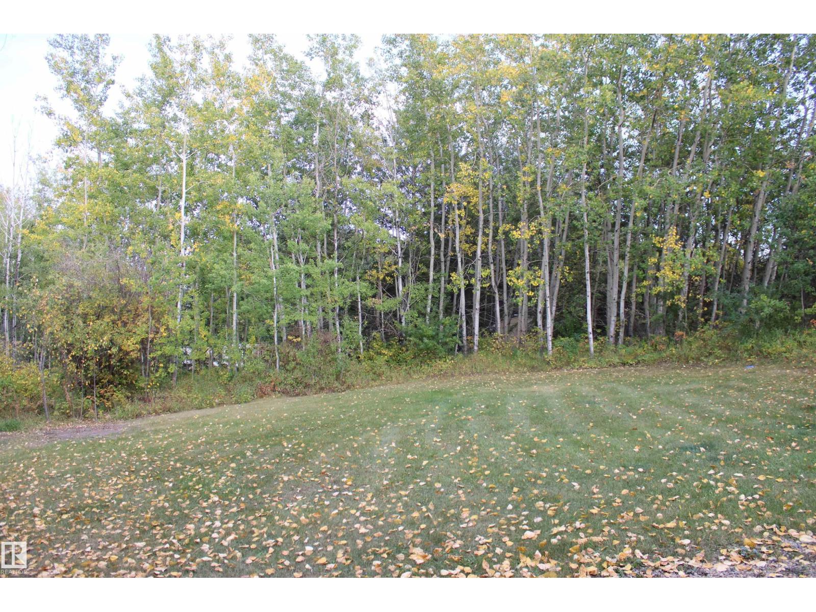 #544 12002 Twp Rd 605a, Rural St. Paul County, Alberta  T0A 3A0 - Photo 19 - E4458644