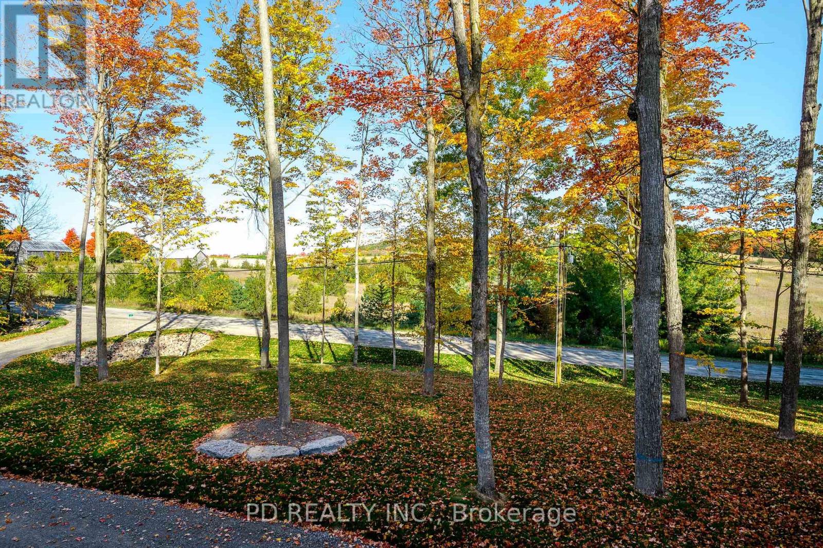 2 East Street, Kawartha Lakes, Ontario  L0A 1A0 - Photo 24 - X12419519