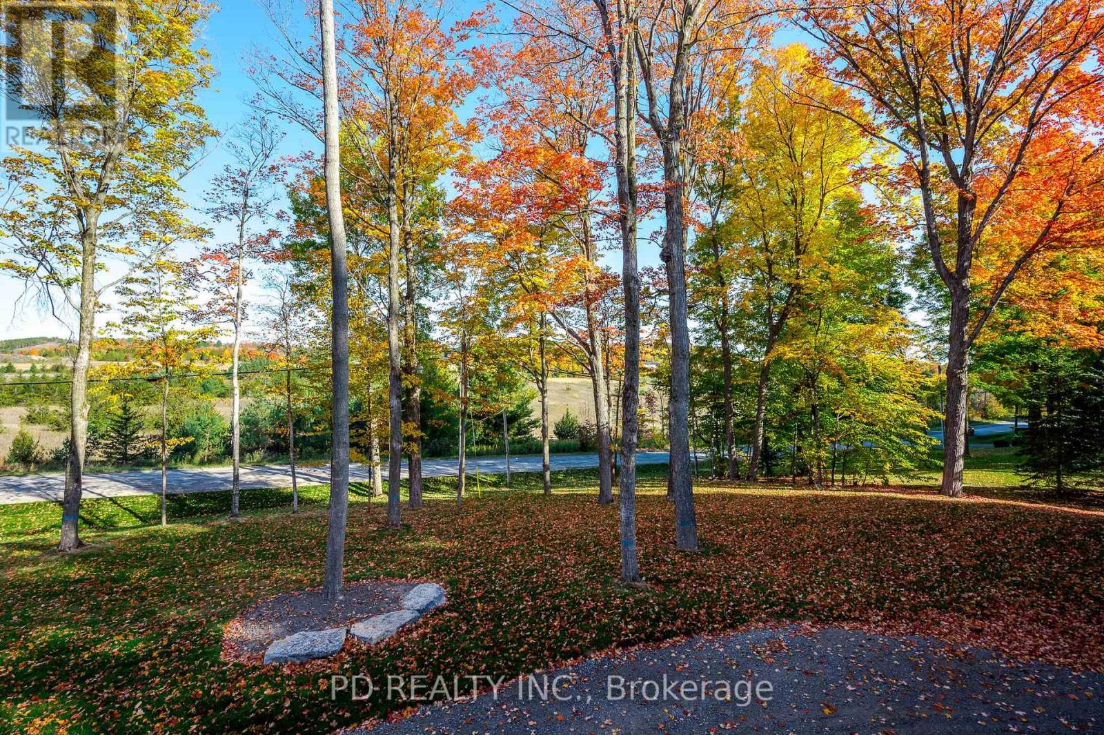 2 East Street, Kawartha Lakes, Ontario  L0A 1A0 - Photo 25 - X12419519