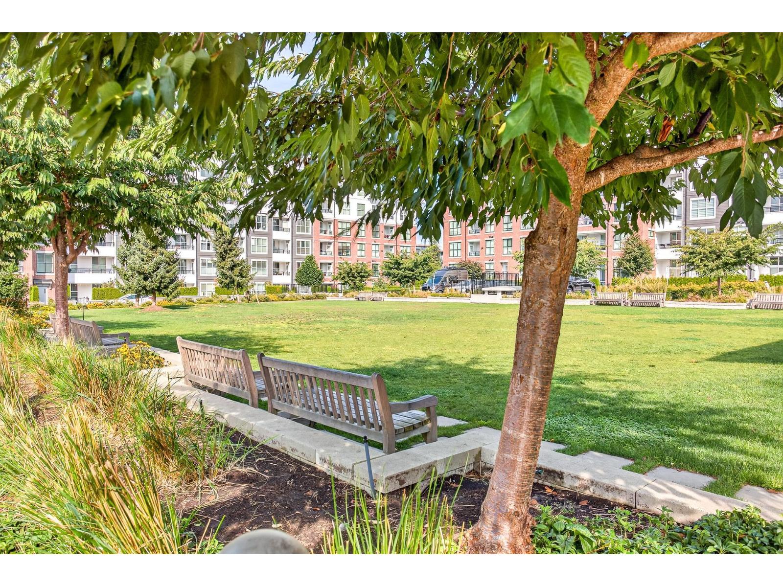 C201 8150 207 Street, Langley, British Columbia  V2Y 4J4 - Photo 31 - R3050331