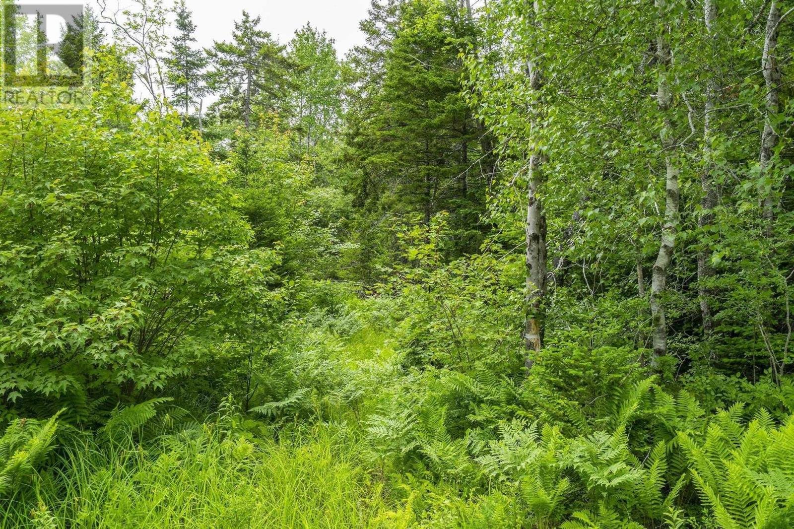 Lot 3 Old Yarmouth Road, Weymouth Falls, Nova Scotia  B0W 3T0 - Photo 6 - 202524016