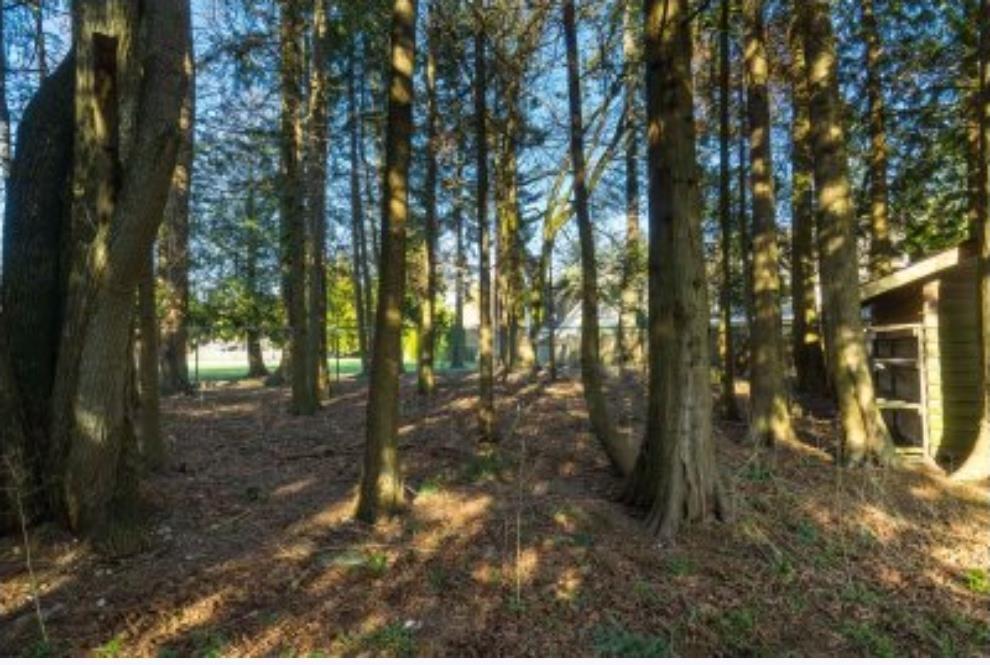13671 16 Avenue, Surrey, British Columbia  V4A 1P7 - Photo 14 - R3049080