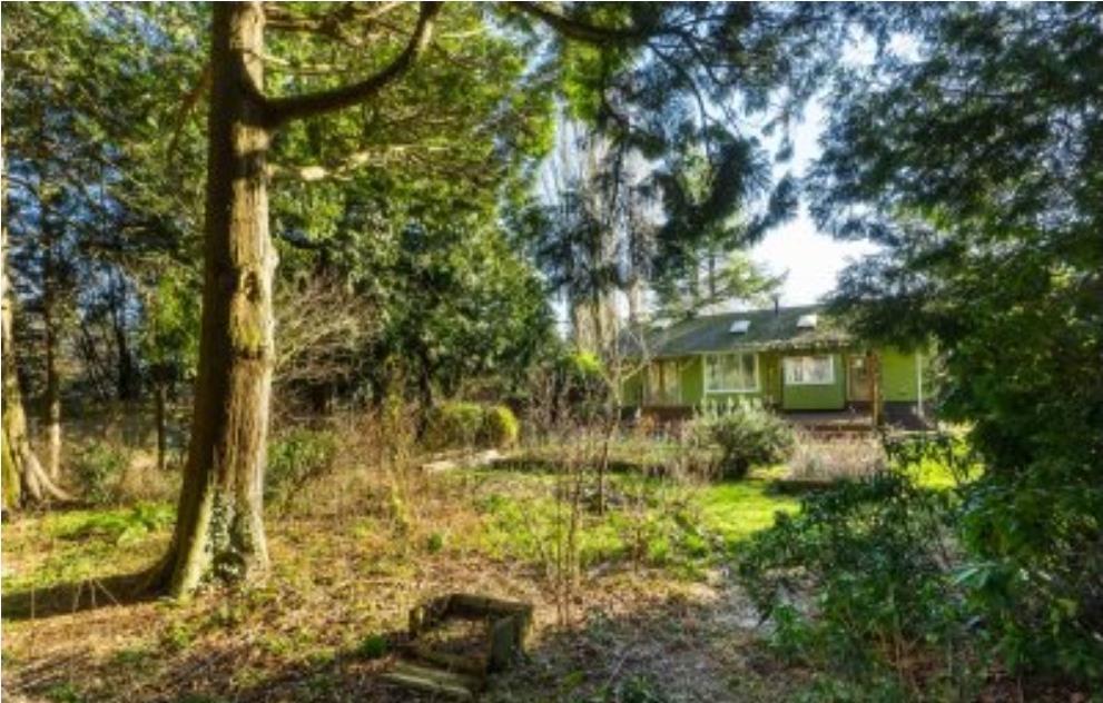 13671 16 Avenue, Surrey, British Columbia  V4A 1P7 - Photo 15 - R3049080
