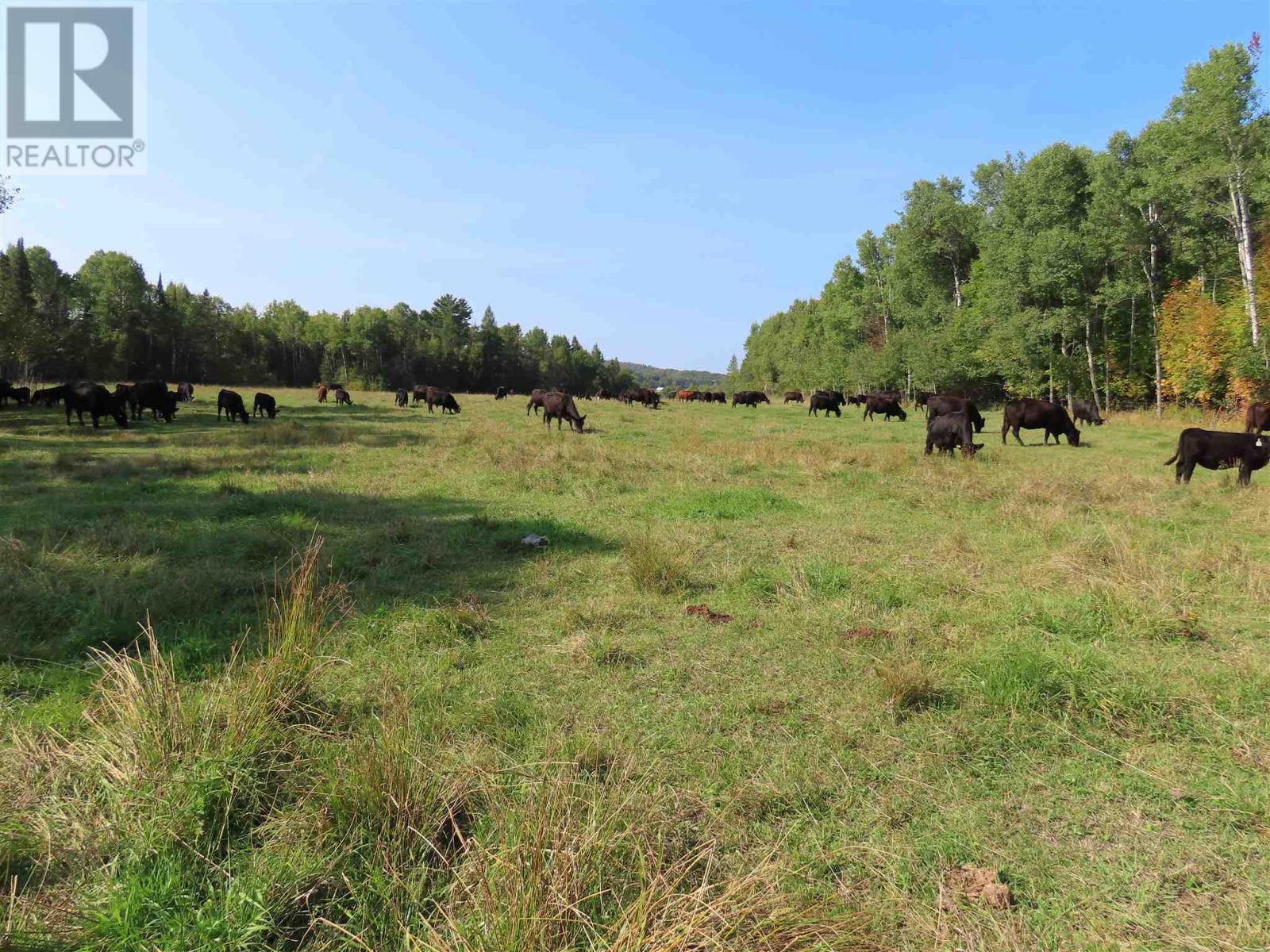 1804 Gordon Lake Rd., Johnson Township, Ontario  P0R 1E0 - Photo 39 - SM252691