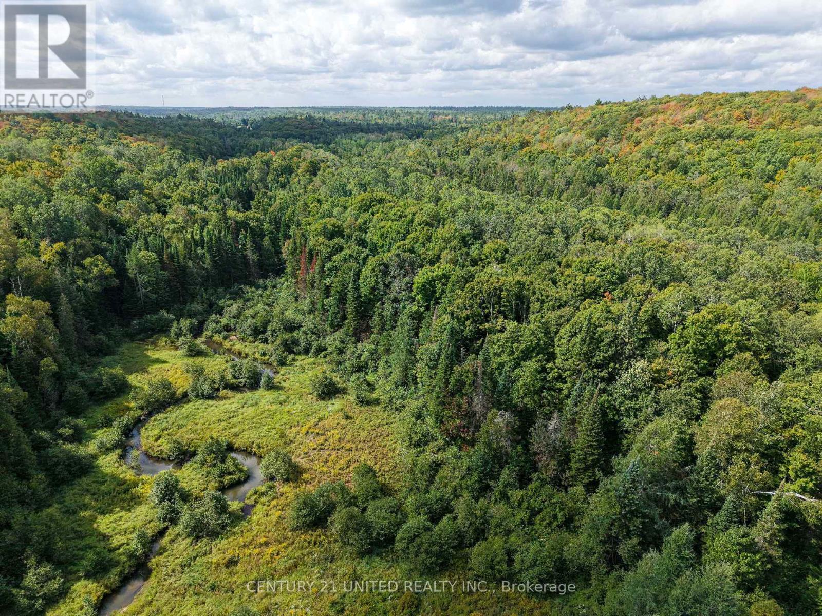 428 Jeff Road, North Kawartha, Ontario  K0L 1C0 - Photo 20 - X12415735