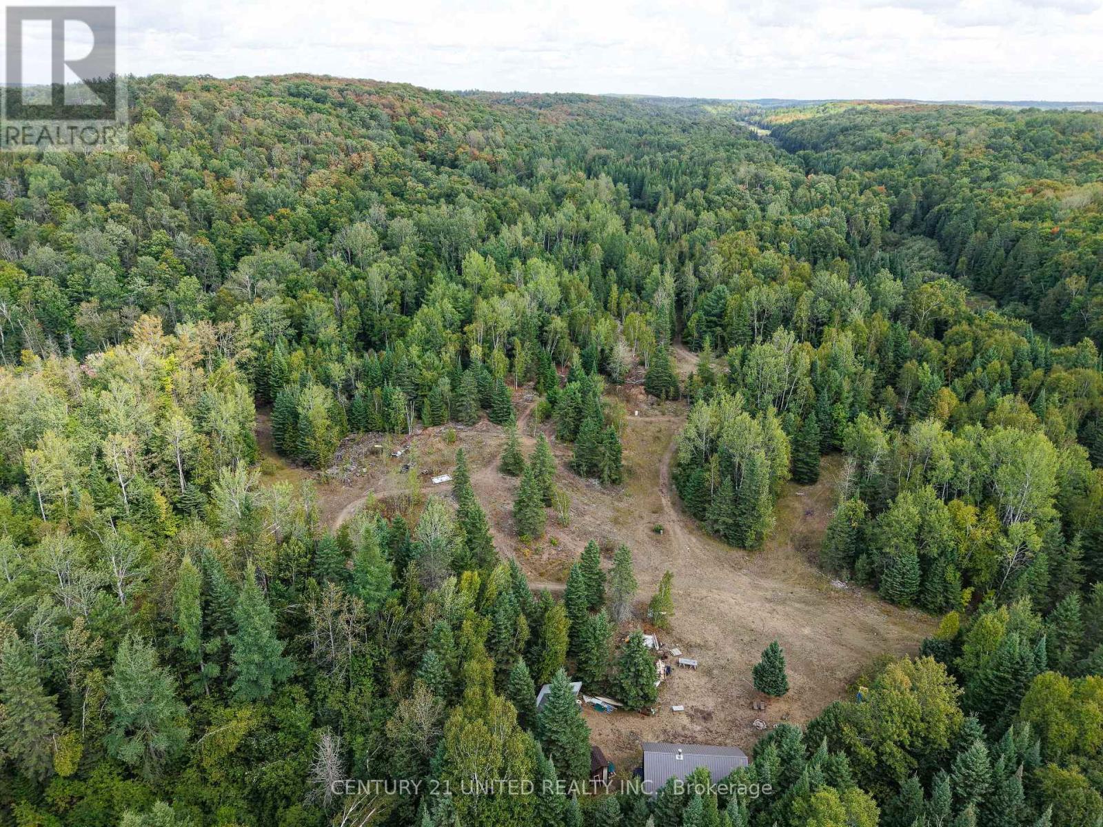 428 Jeff Road, North Kawartha, Ontario  K0L 1C0 - Photo 27 - X12415735