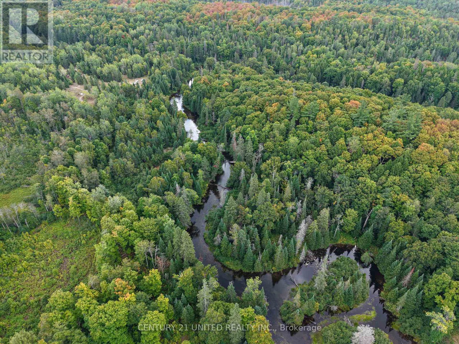 428 Jeff Road, North Kawartha, Ontario  K0L 1C0 - Photo 6 - X12415735