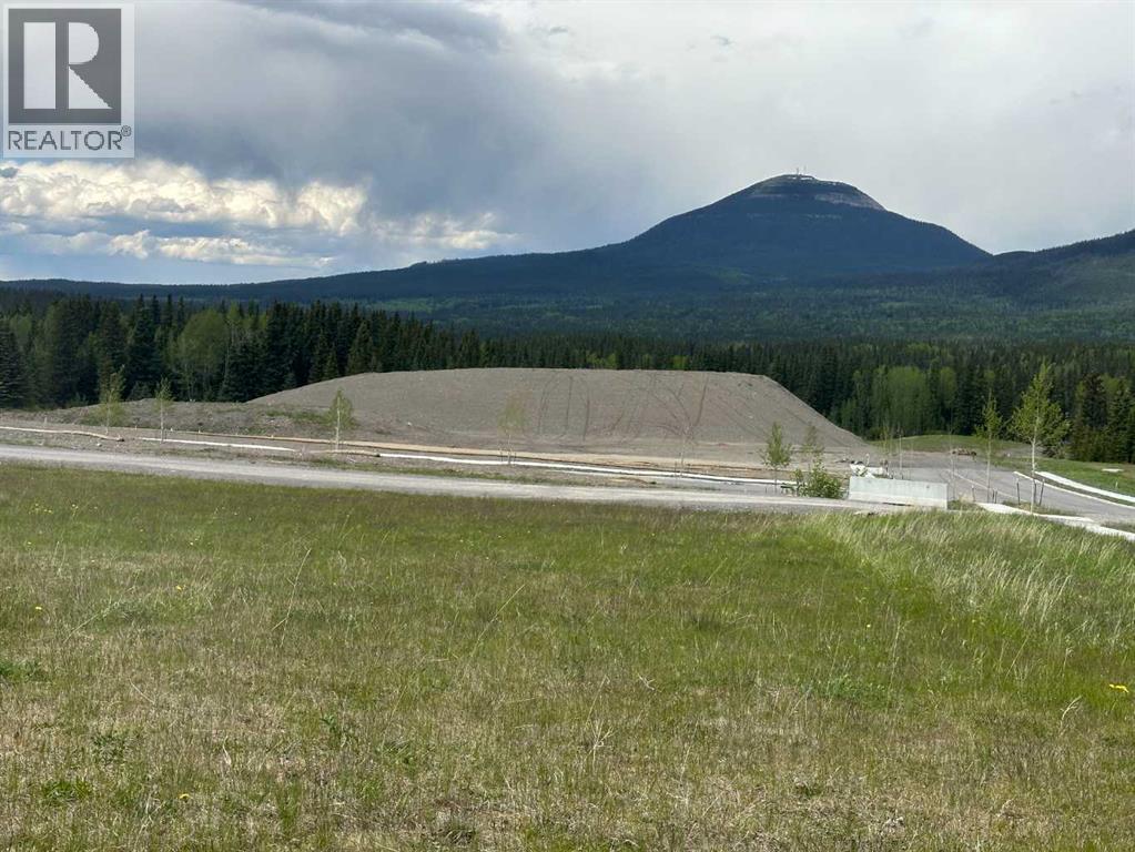 300 Elizabeth Avenue, Nordegg, Alberta  T0M 2H0 - Photo 2 - A2142152