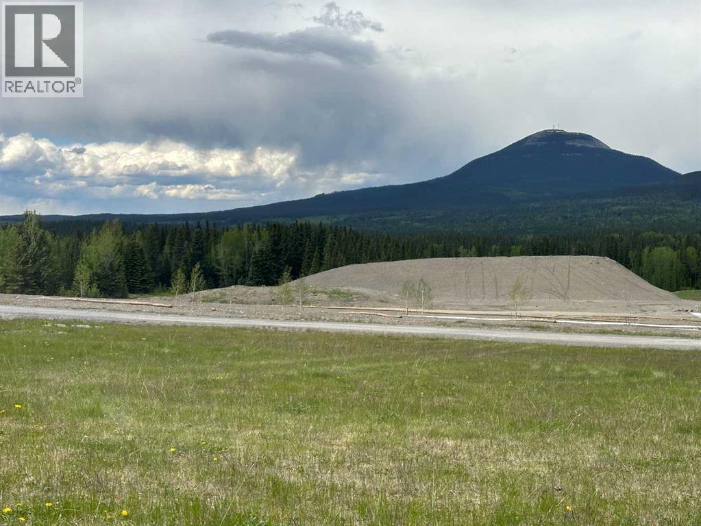 300 Elizabeth Avenue, Nordegg, Alberta  T0M 2H0 - Photo 3 - A2142152
