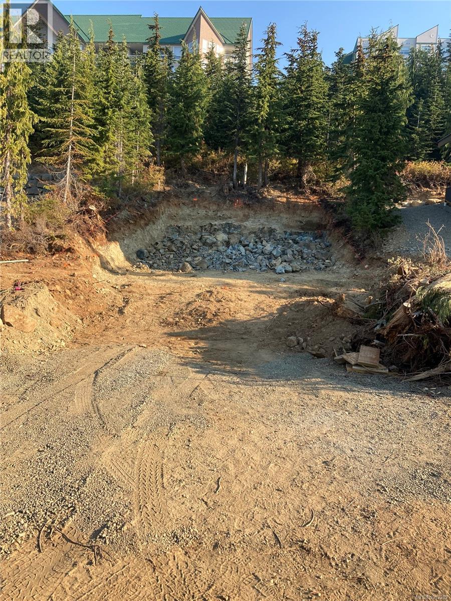 960 Cruikshank Ridge, Courtenay, British Columbia  V9J 1L0 - Photo 1 - 1012282