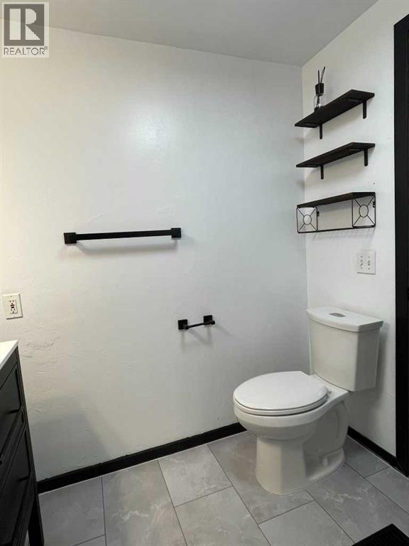 202 Railway Avenue, Veteran, Alberta  T0C 2S0 - Photo 23 - A2247243