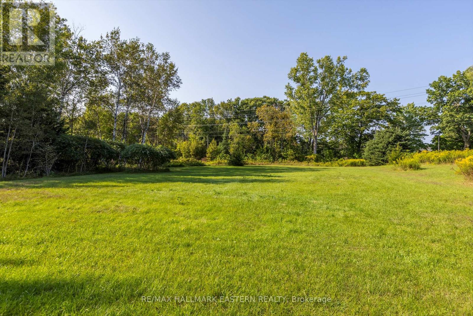 Lot 13 Trent River Road, Trent Hills, Ontario  K0L 1Z0 - Photo 13 - X12234986